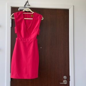 Nicole Miller Pink Dress